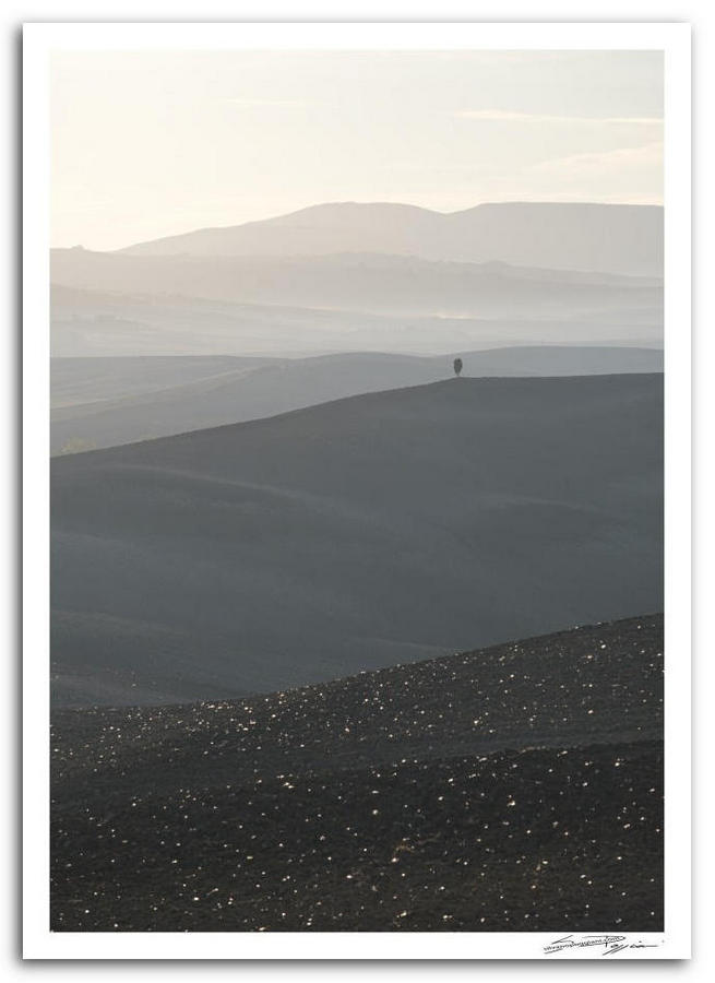 Paesaggio toscano, colline si susseguono come onde di terra, sfumando in tonalità sempre più tenui fino a dissolversi nella foschia dell’alba.